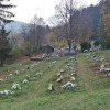 Vojnový cintorín z prvej svetovej vojny