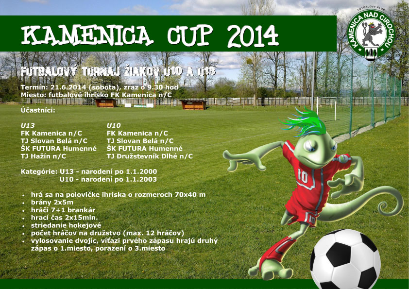 Kamenica CUP 2014